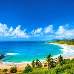 Meet your Posher, Kamilia